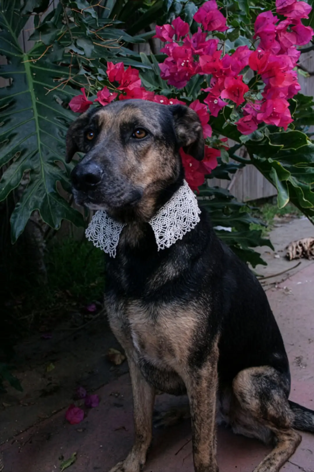 Peruvian Beaded Lace Necklace