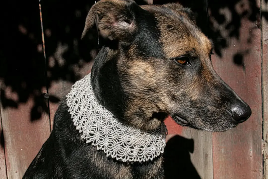 Peruvian Lace Necklace